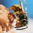 Busy Bee